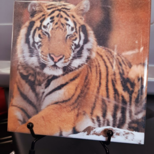 Personalised ceramic tile with a photo of a tiger