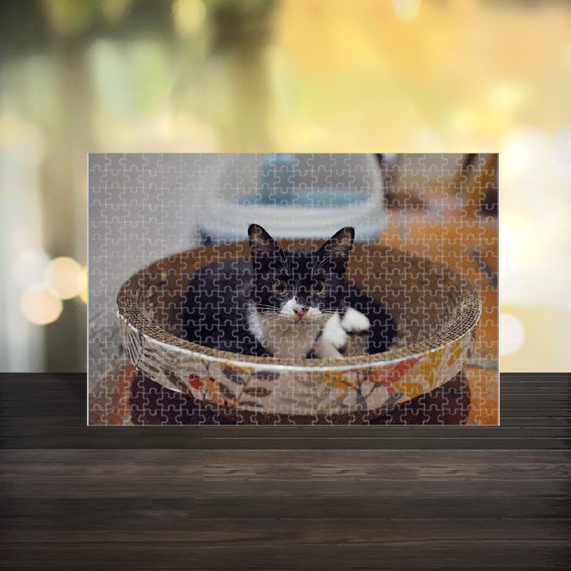 Personalised cardboard jigsaw puzzle, black and white cat in a basket