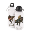 Personalised bottle with dinosaur designs and names Paul and Cillian on two white 400ml bottles with 2 lids