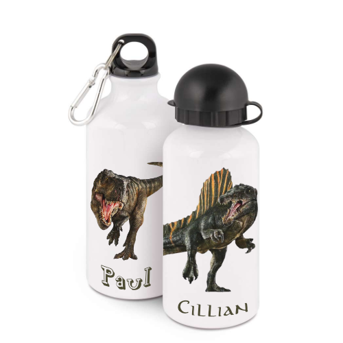 Personalised bottle with dinosaur designs and names Paul and Cillian on two white 400ml bottles with 2 lids
