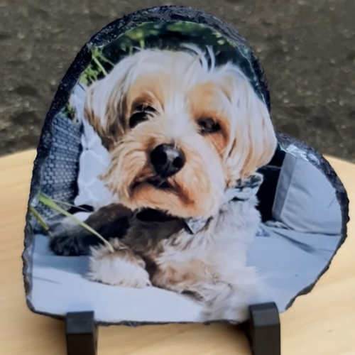 Personalised Heart shape Stone Photo Slate (15X15cm) this one has the photo a of a dog