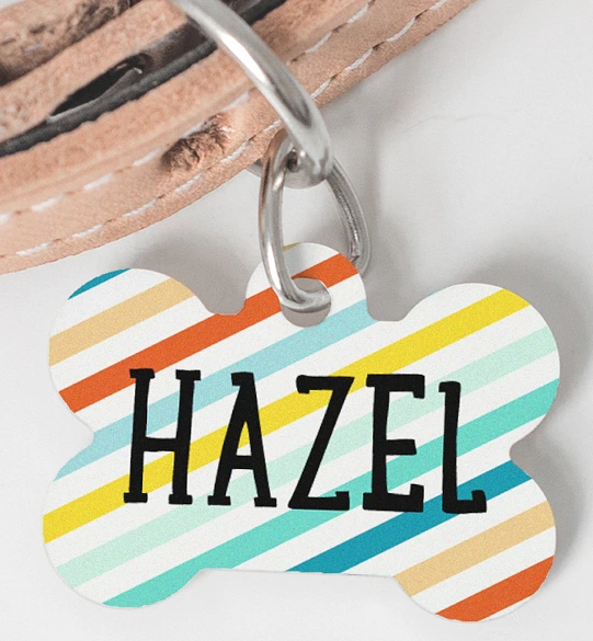 Bone shaped dog collar tag personalised with name Hazel