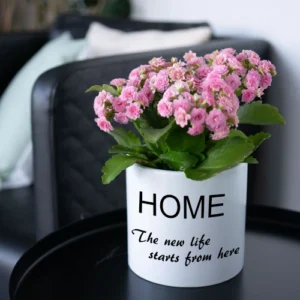 Personalised Ceramic Large Flower Pot with a design home the new life starts from here